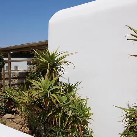 Luxury Mirage Mykonos Villa